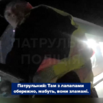 Зламана нога та шанс на порятунок: у Вінниці патрульні допомогли пораненій козулі