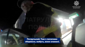 Зламана нога та шанс на порятунок: у Вінниці патрульні допомогли пораненій козулі