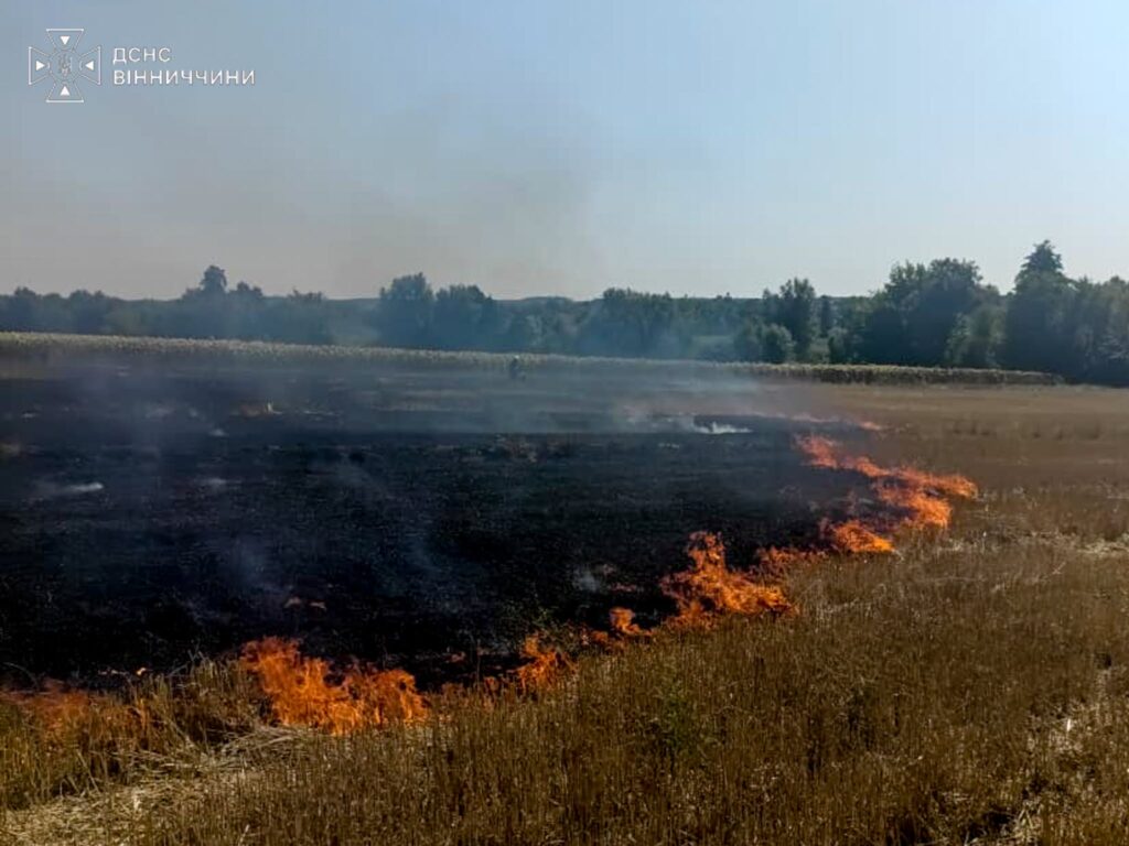 На Вінниччині за добу спалахнуло 9 пожеж: де горіли суха трава