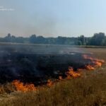 На Вінниччині за добу спалахнуло 9 пожеж: де горіли суха трава