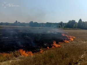 На Вінниччині за добу спалахнуло 9 пожеж: де горіли суха трава