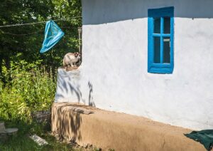 На межі Вінниччини та Хмельниччини збереглася автентична хатина