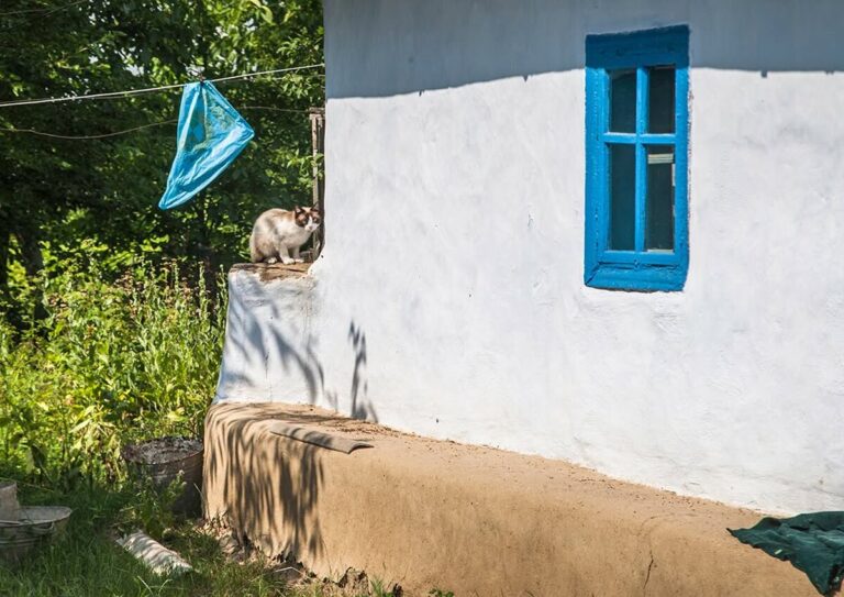 На межі Вінниччини та Хмельниччини збереглася автентична хатина