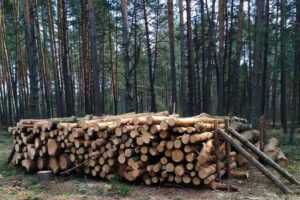 дрова