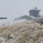 сніг
