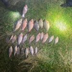 Ловив рибу сімома сітками: під Немировом затримали порушника