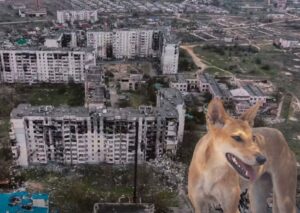 Олешки