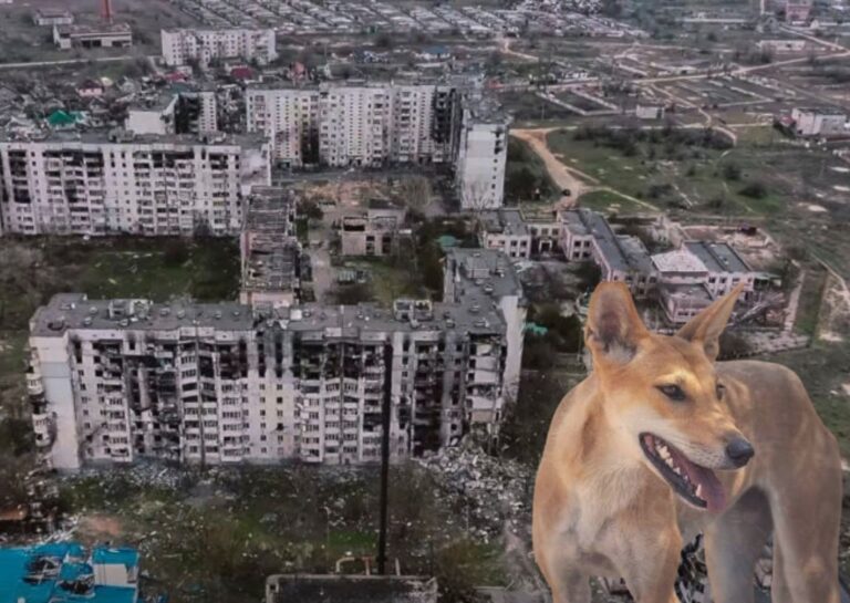 Олешки