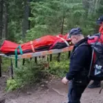 Карпати