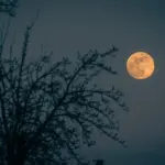 місяць
