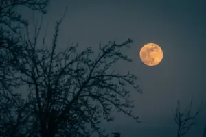 місяць