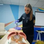 дснс