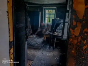 ДСНС